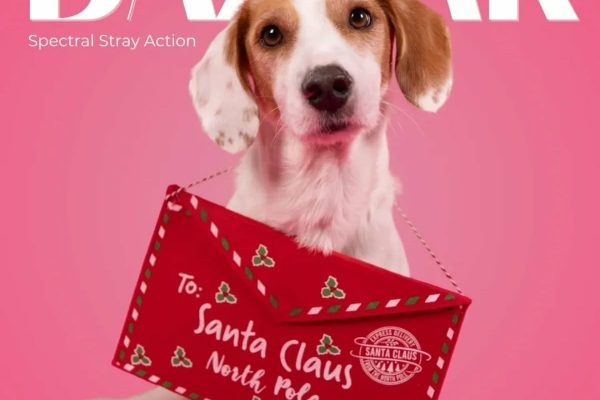 Spectral Stray Action Christmas Bazaar.